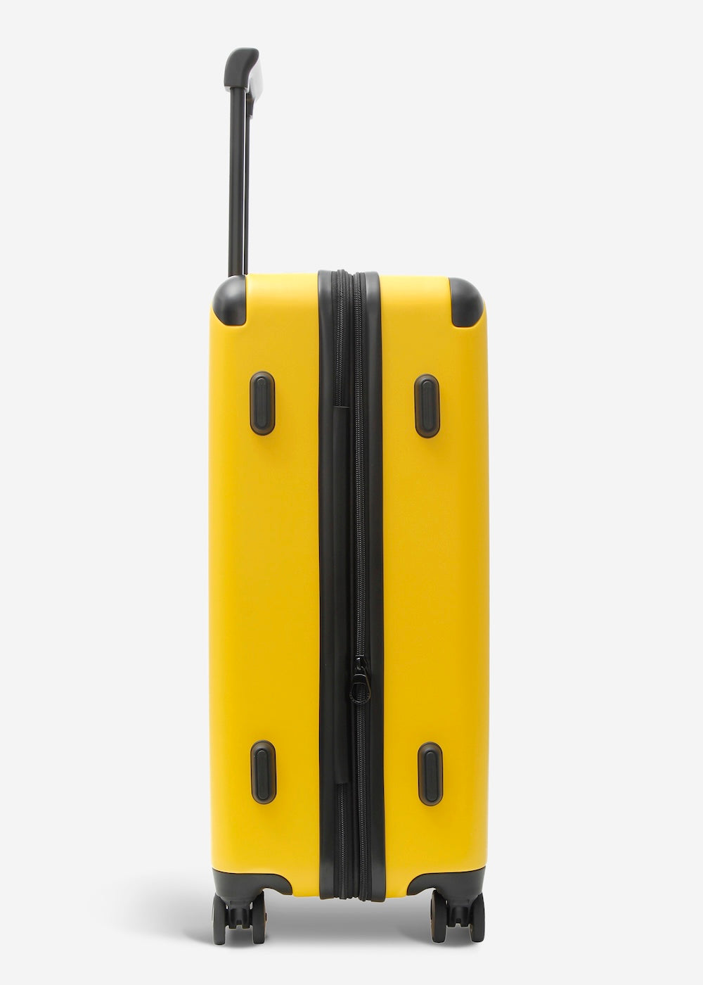 #colour_burly yellow