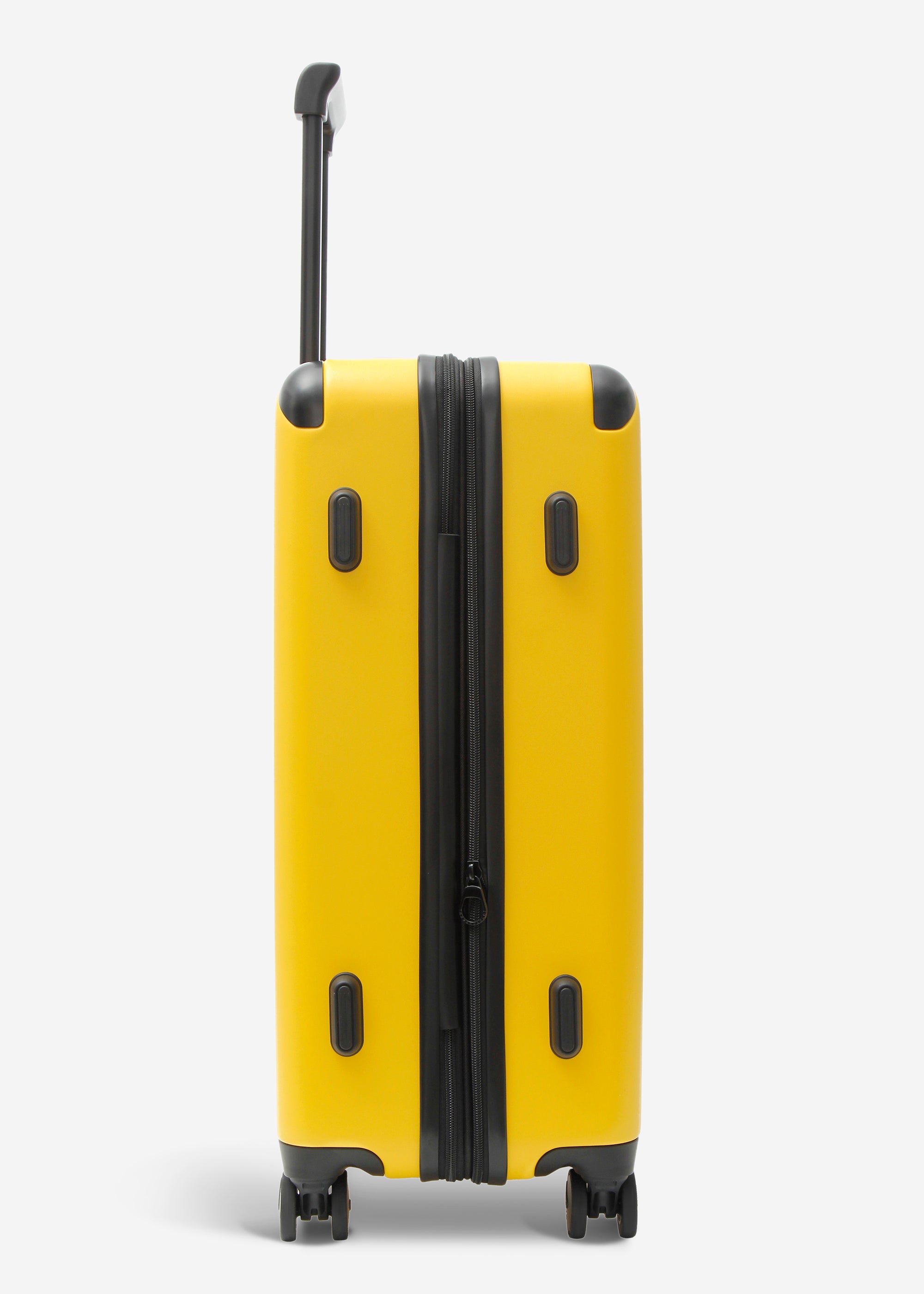 #colour_burly yellow