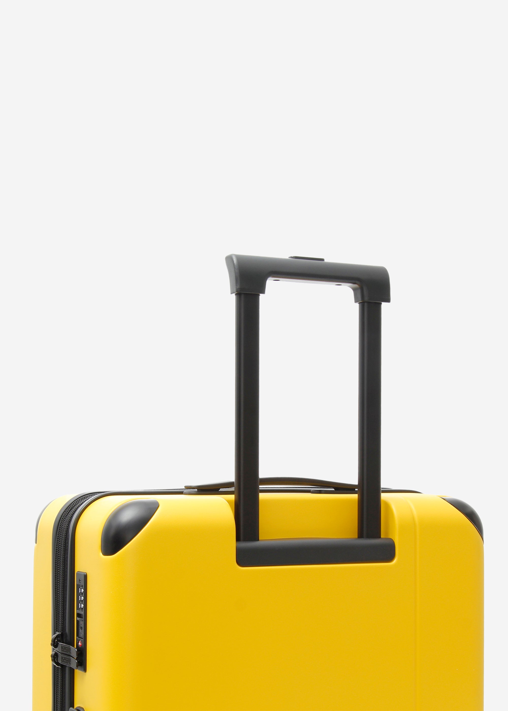 #colour_burly yellow