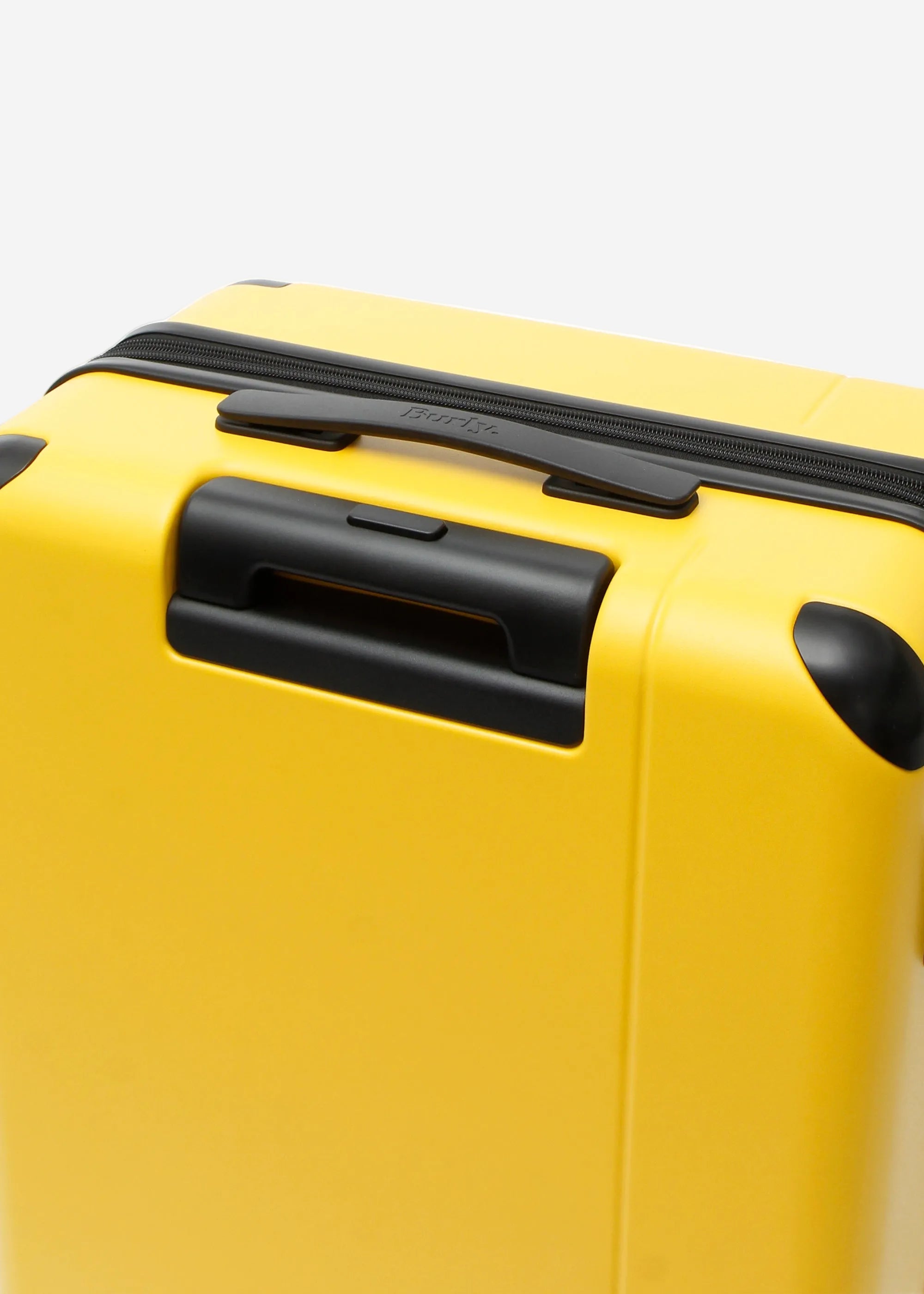 #colour_burly yellow