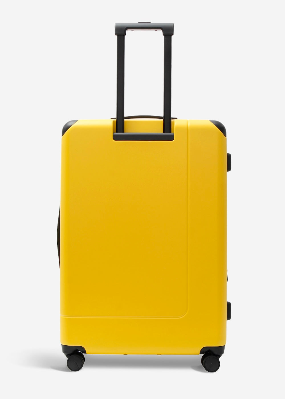 #colour_burly yellow