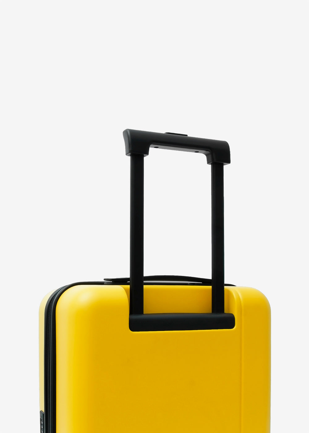 #colour_burly yellow