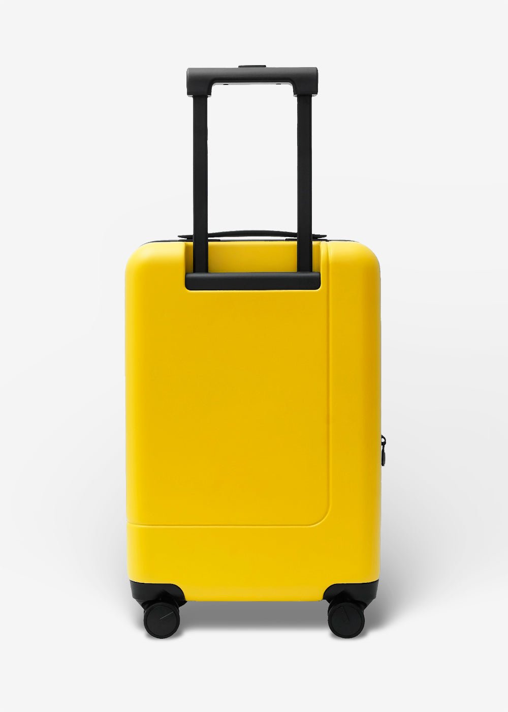 #colour_burly yellow
