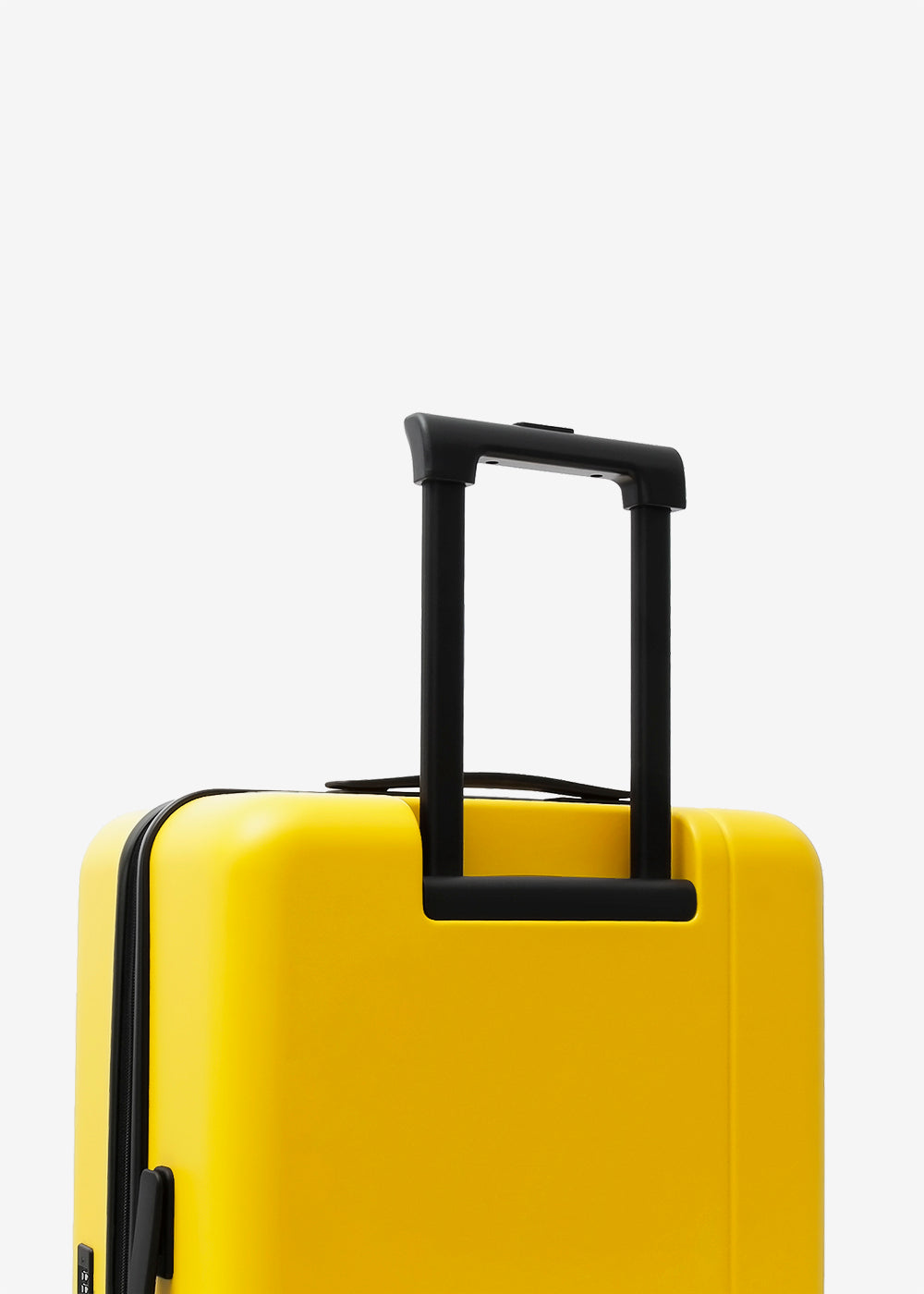 #colour_burly yellow