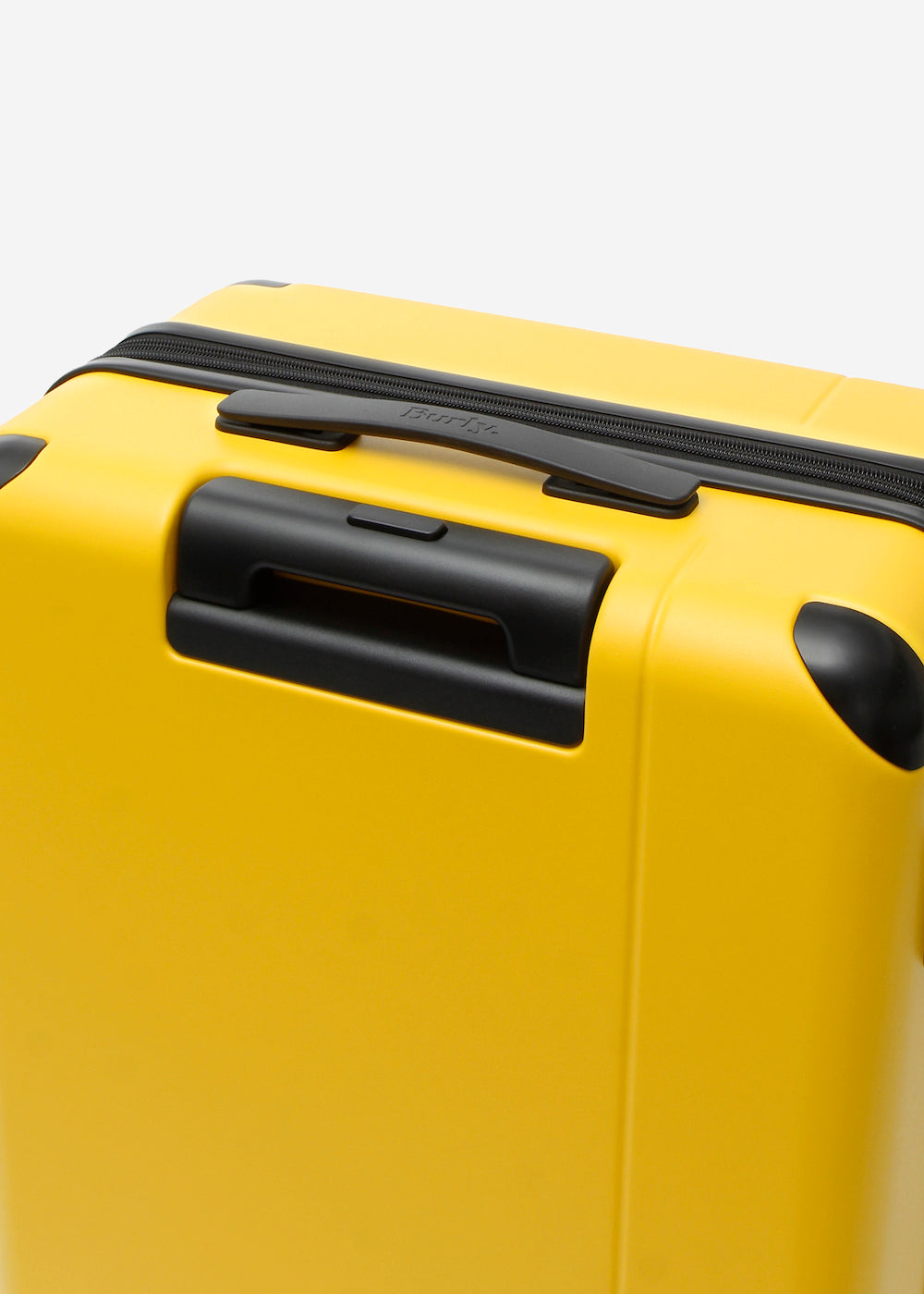 #colour_burly yellow