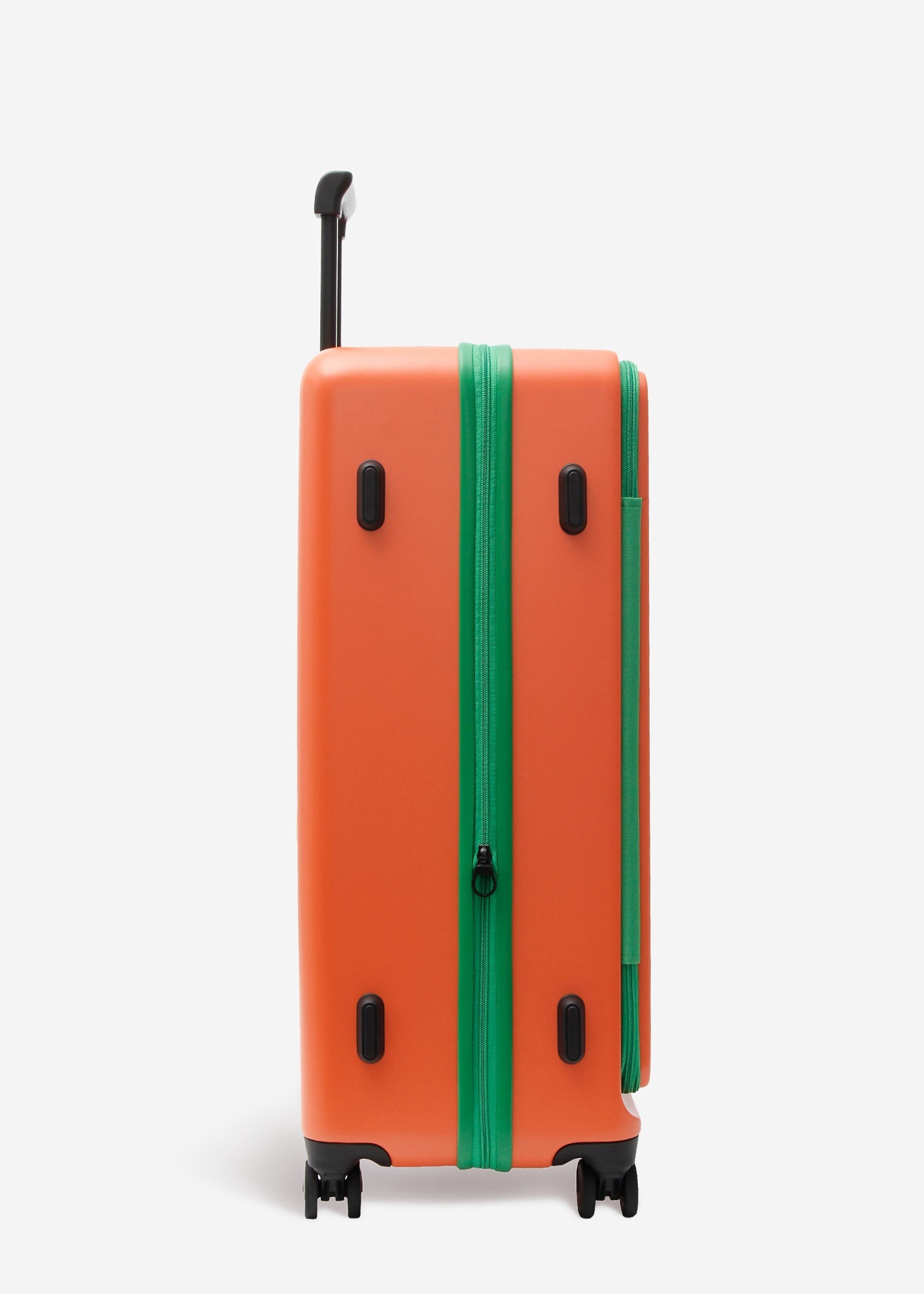 #colour_the carrot