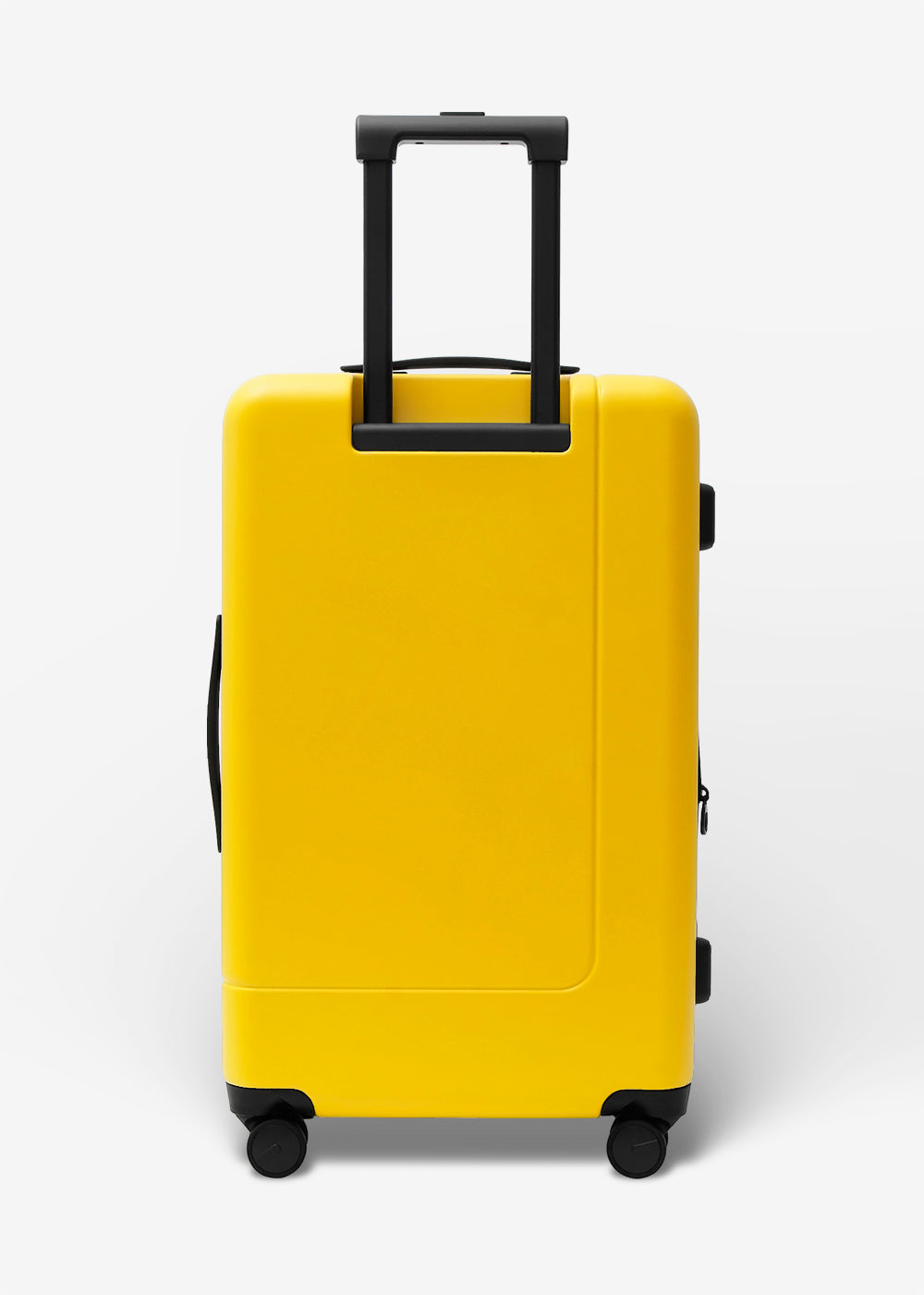 #colour_burly yellow