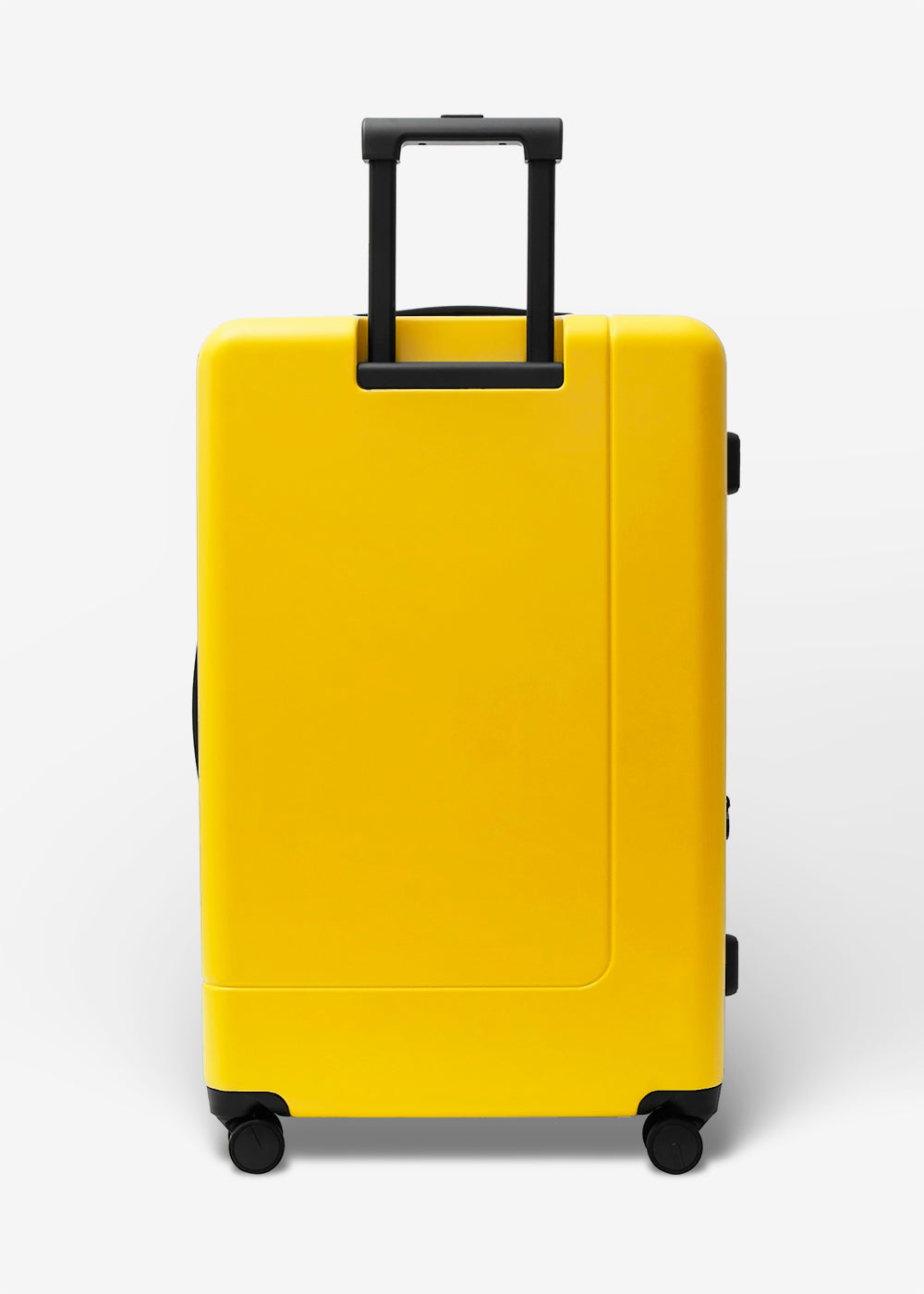 #colour_burly yellow
