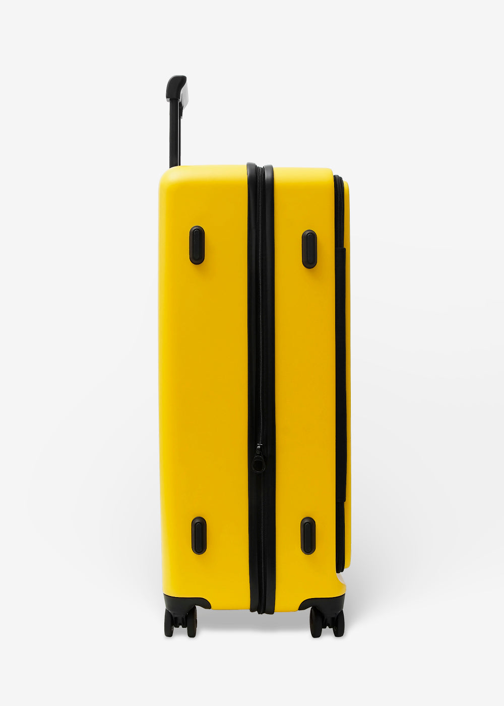 #colour_burly yellow